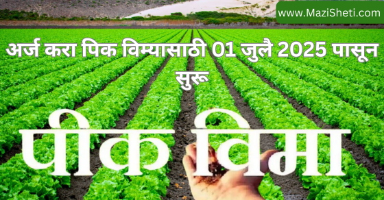 pik vima yojana starting July 2025