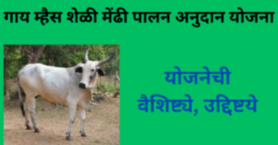 Gai palan yojana maharashtra 2025