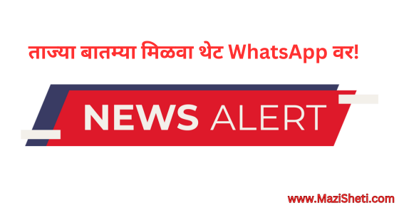 News WhatsApp Group Link